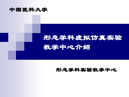 形态学科虚拟仿真实验教学中心介绍