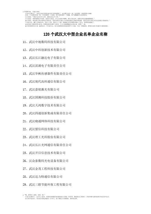 120个武汉大中型企业名单