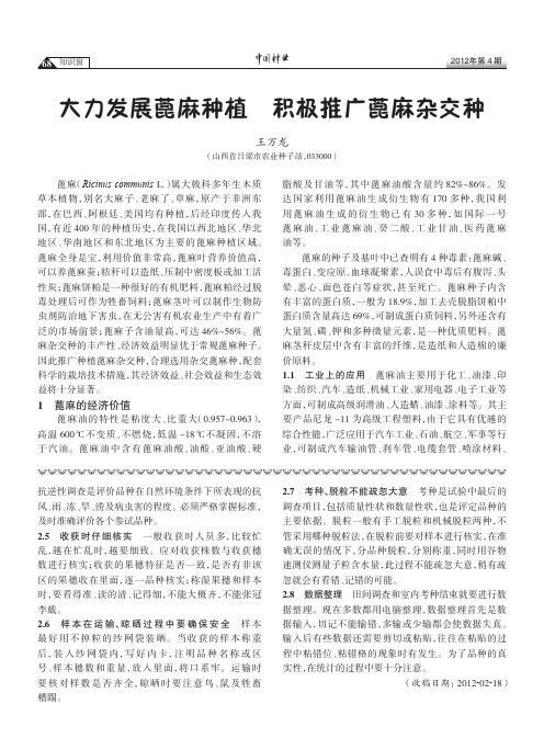 大力发展蓖麻种植积极推广蓖麻杂交种