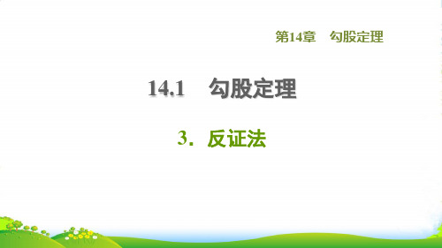 2022秋八年级数学上册第14章勾股定理14.1勾股定理3反证法课件新版华东师大版