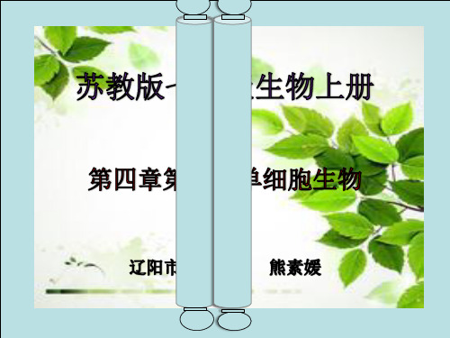 苏教版七年级上册生物:第一节 单细胞生物