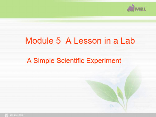 高一英语课件：Module5 A Lesson in a Lab-Reading(外研必修1)