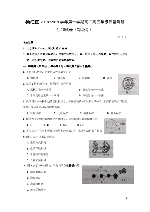 上海市徐汇区2019年高二高三一模生物试题及答案(Word版)