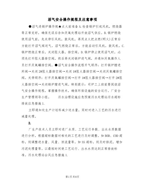 沼气安全操作规程及注意事项（2篇）