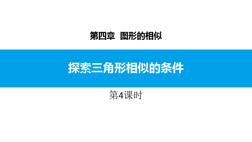 最新北师大版九年级数学上册《黄金分割》精品ppt教学课件