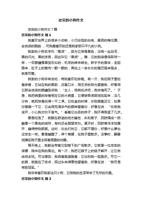 忠实的小狗作文7篇