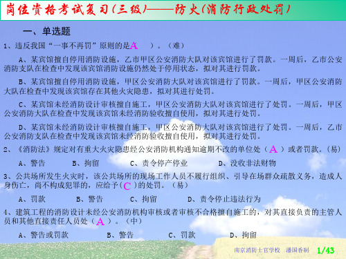 消防行政处罚(ppt 43页)