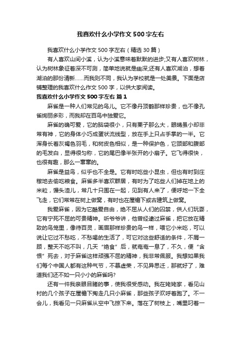 我喜欢什么小学作文500字左右