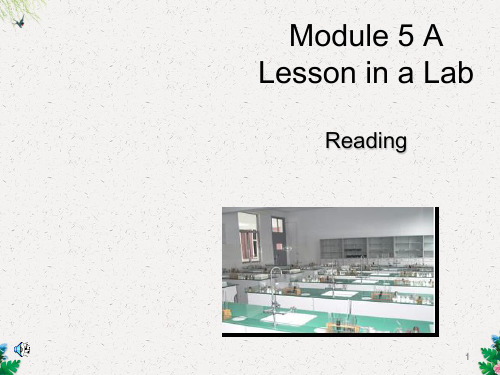 外研版必修一Module 5 A Lesson in a Lab reading课件