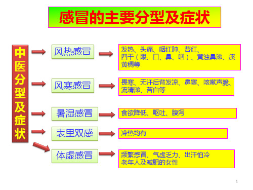 感冒中医治疗PPT课件