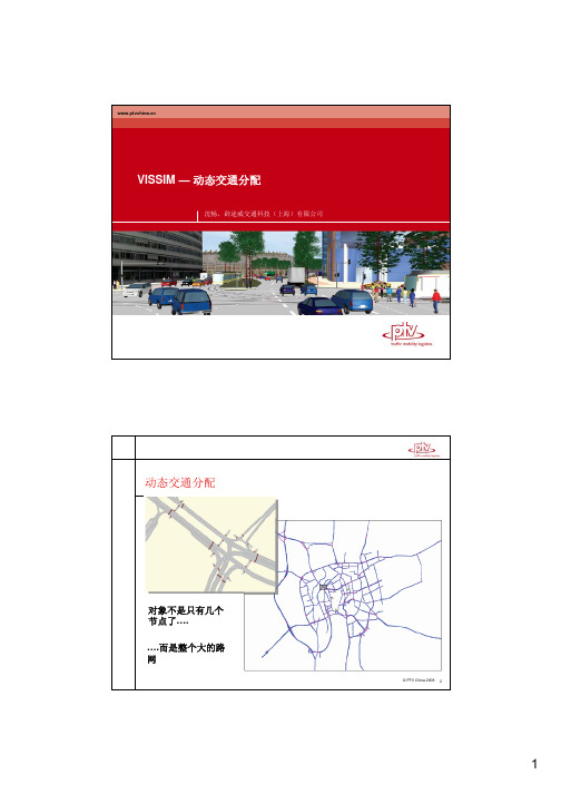 VISSIM动态交通分配