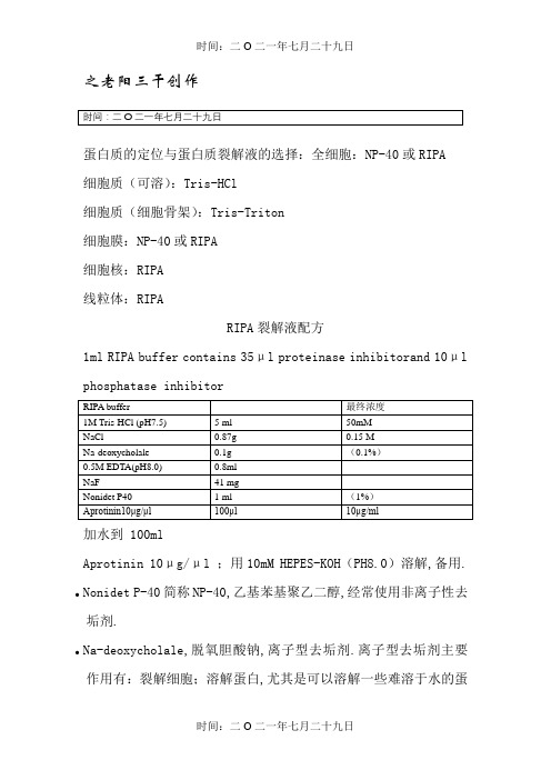 蛋白裂解液