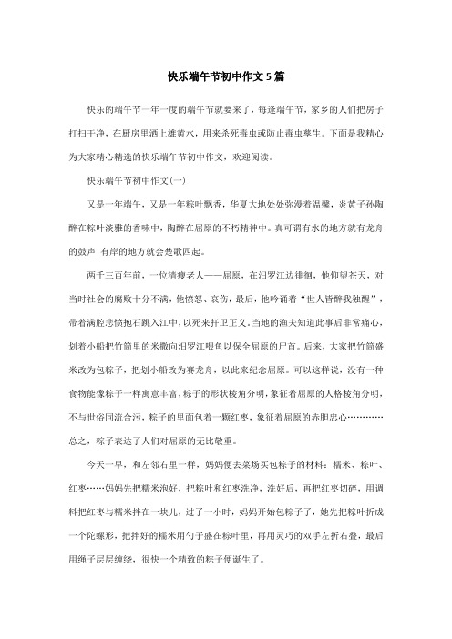 快乐端午节初中作文5篇