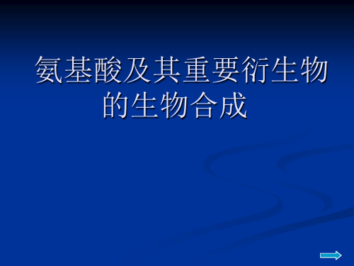 氨基酸生物合成汇总