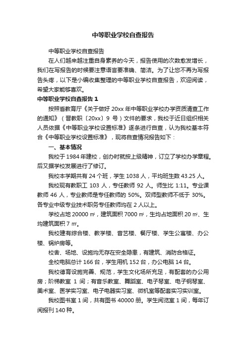 中等职业学校自查报告