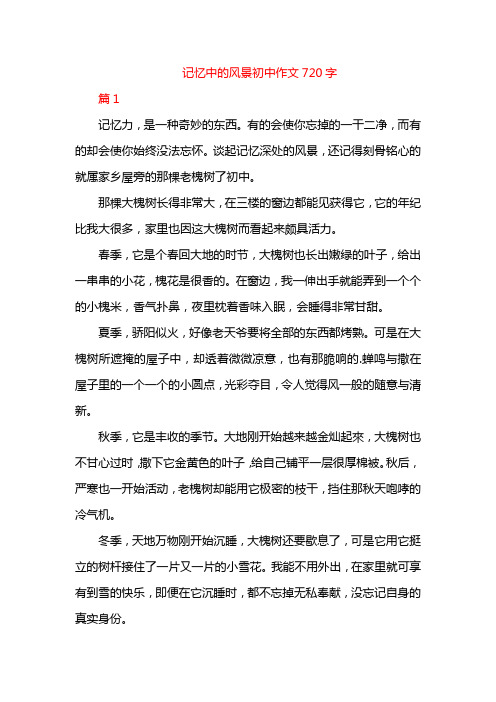 记忆中的风景初中作文720字