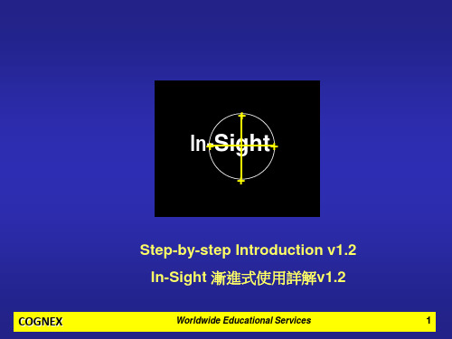 中文 In-Sight 使用详解-(全)