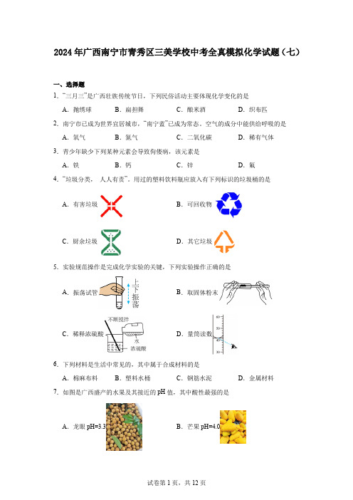 2024年广西南宁市青秀区三美学校中考全真模拟化学试题(七)