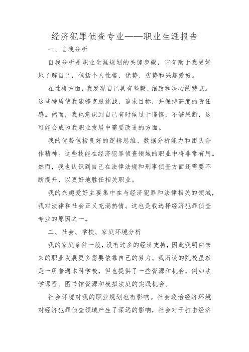 经济犯罪侦查专业——职业生涯报告