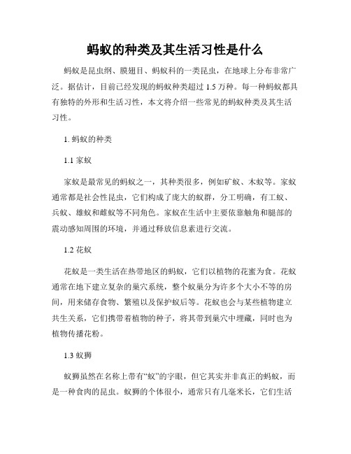 蚂蚁的种类及其生活习性是什么