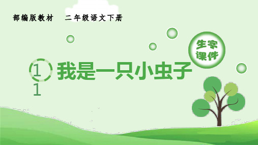 《我是一只虫子》生字课件