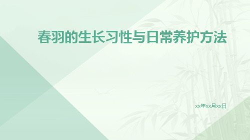 春羽的生长习性与日常养护方法