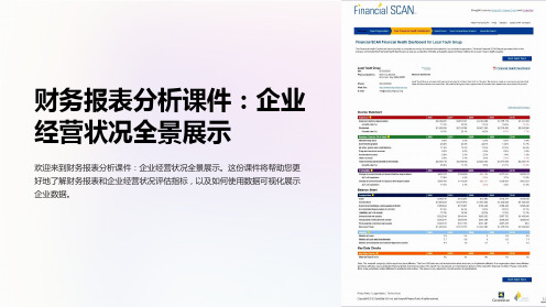 财务报表分析课件：企业经营状况全景展示
