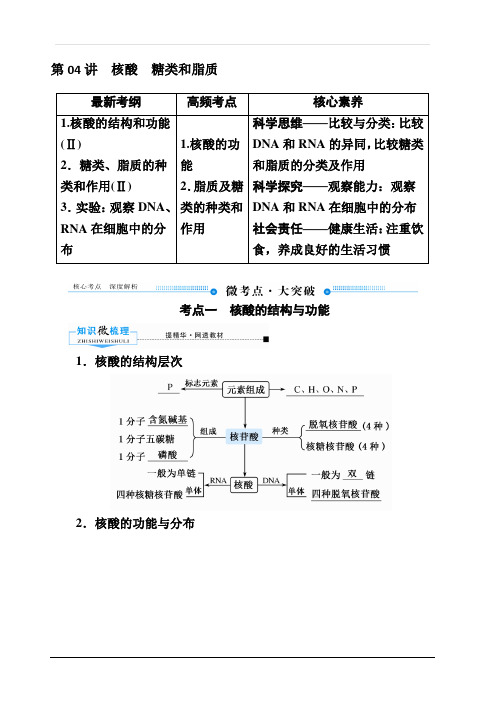 2020版赢在微点高考生物人教版一轮复习讲义：第一单元第04讲核酸糖类和脂质含答案