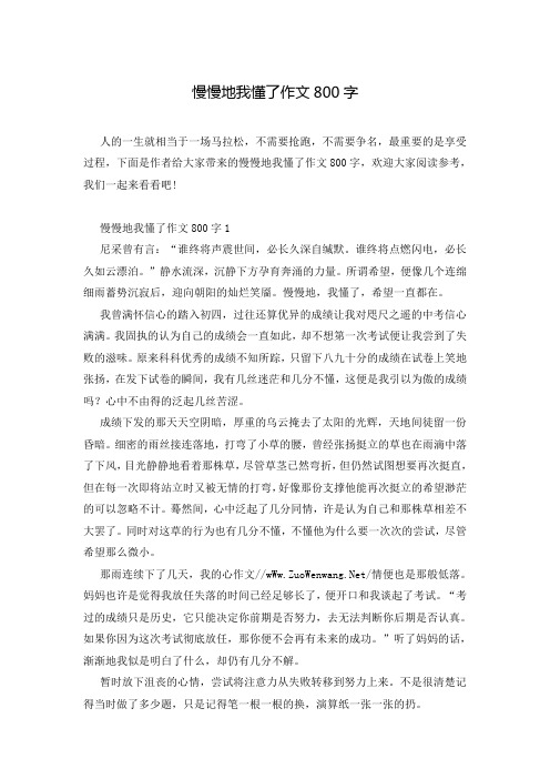 慢慢地我懂了作文800字