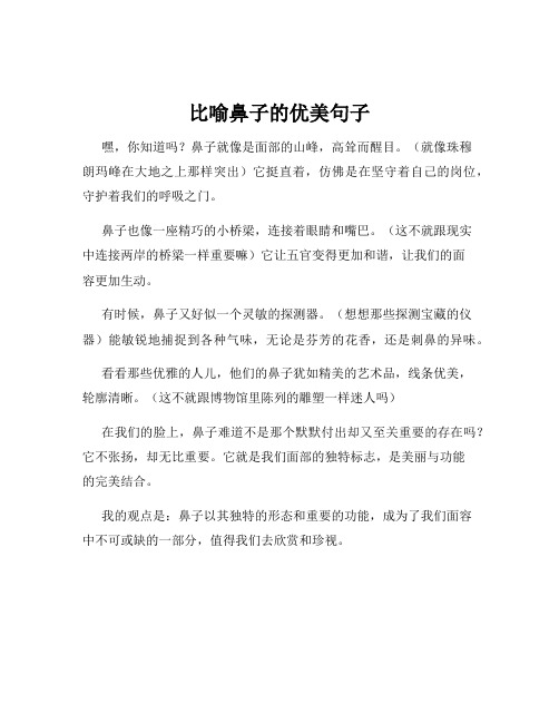 比喻鼻子的优美句子