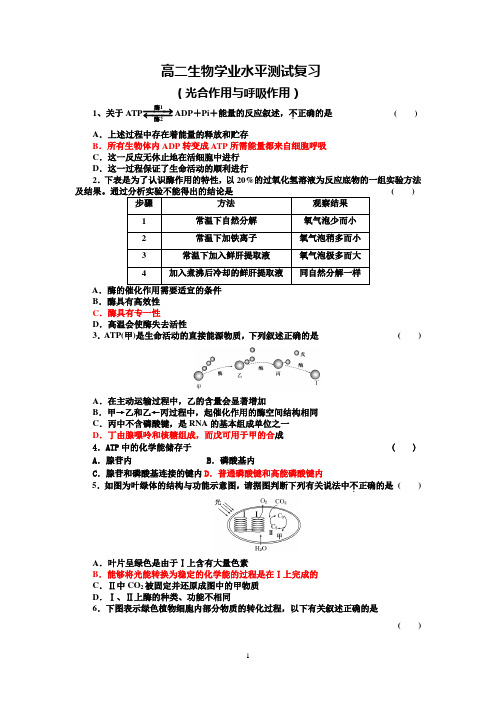 高中生物必修一：光合作用相关习题