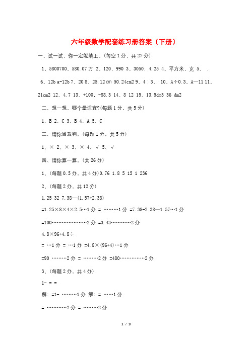 六年级数学配套练习册答案(下册)