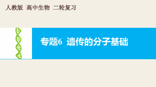 人教版高中生物二轮复习专题6  遗传的分子基础