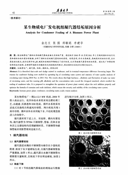 某生物质电厂发电机组凝汽器结垢原因分析