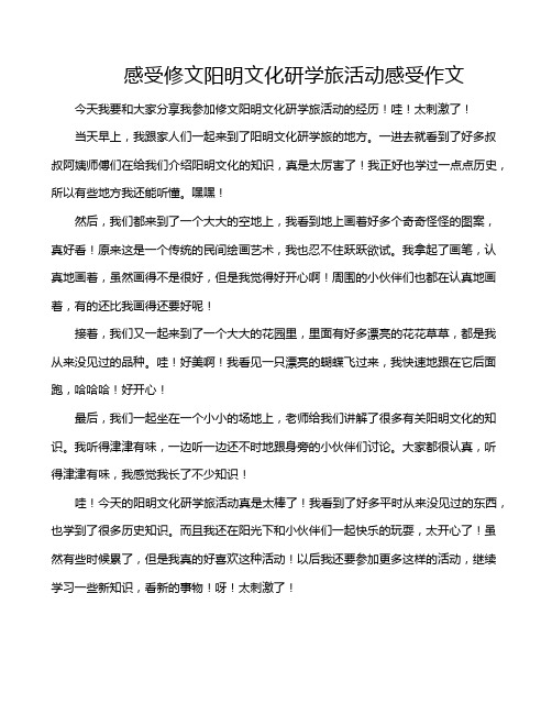 感受修文阳明文化研学旅活动感受作文