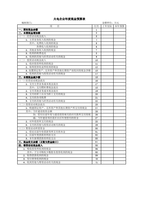 火电企业年度现金预算表