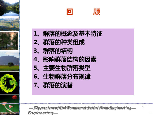 生态系统生态学PPT课件