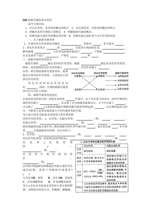 DIR新陈代谢的基本类型
