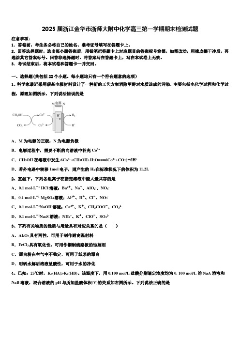 2025届浙江金华市浙师大附中化学高三第一学期期末检测试题含解析