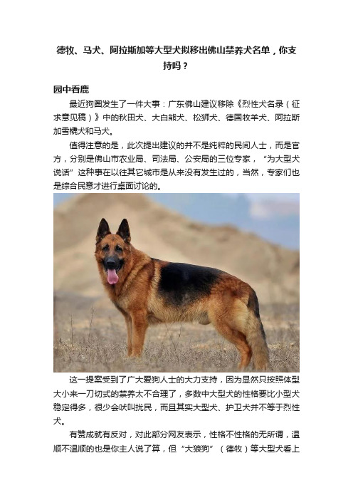 德牧、马犬、阿拉斯加等大型犬拟移出佛山禁养犬名单，你支持吗？