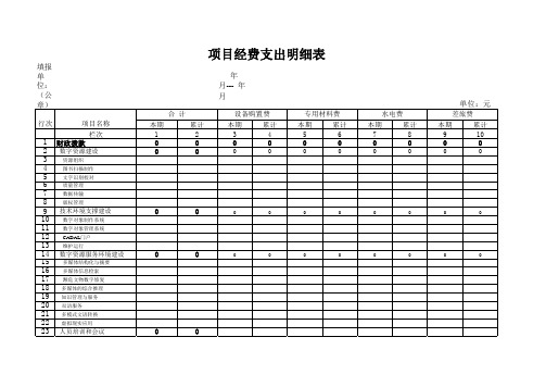 项目经费支出明细表格模板