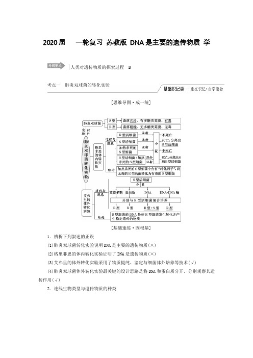 2020年高考   一轮复习 苏教版 DNA是主要的遗传物质 学案.doc