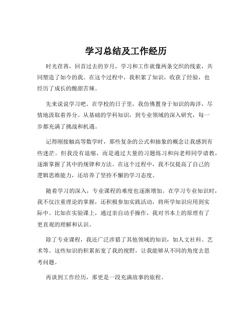 学习总结及工作经历