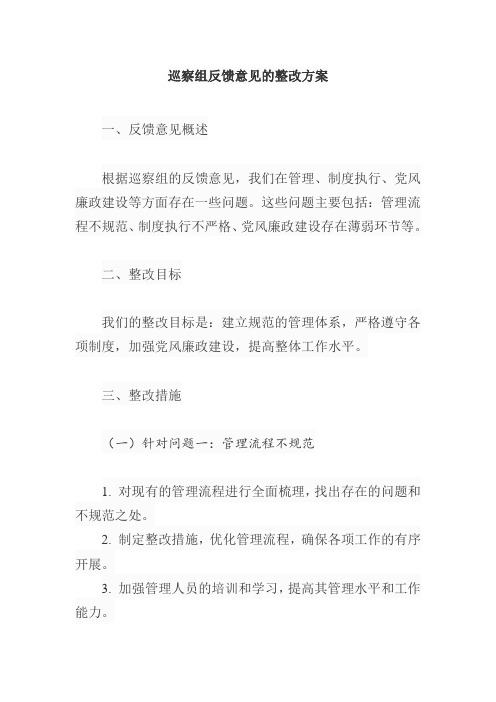 巡察组 反馈意见的整改方案