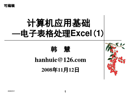 计算机应用基础电子表格处理excelPPT课件