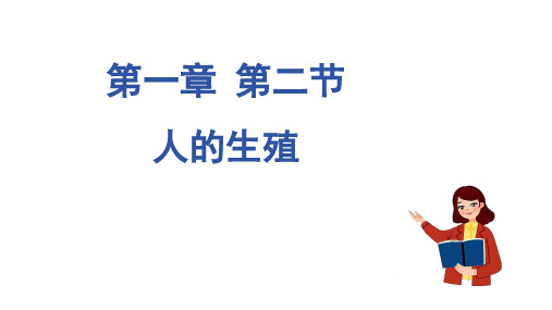 【初中生物 】人的生殖课件 2023--2024学年人教版八年级生物下册