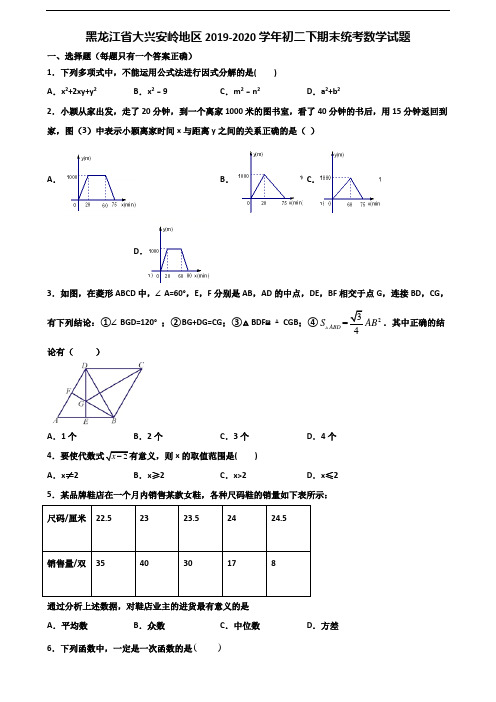 黑龙江省大兴安岭地区2019-2020学年初二下期末统考数学试题含解析