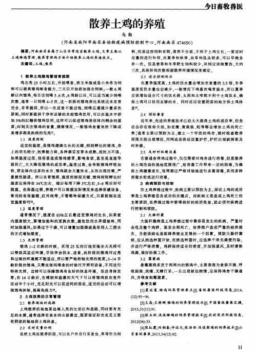 散养土鸡的养殖