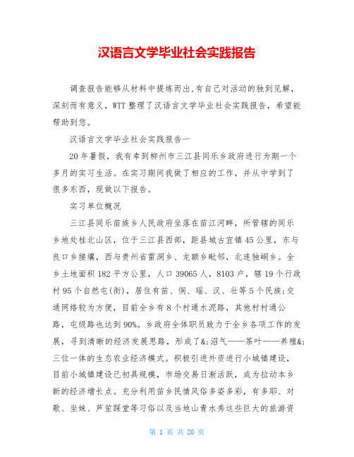 汉语言文学毕业社会实践报告