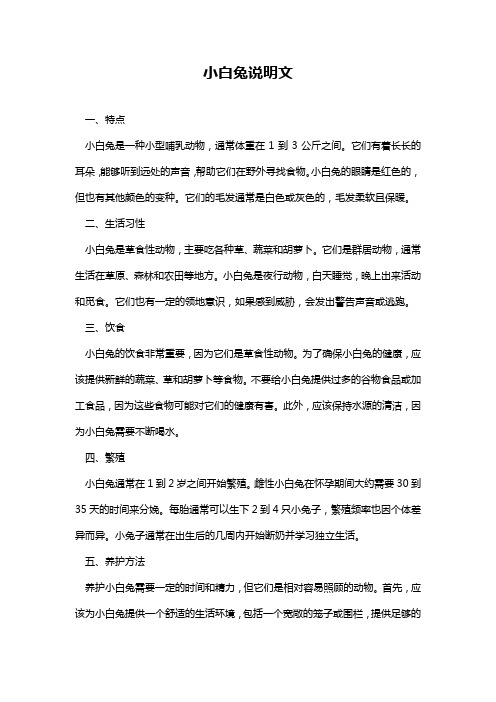 小白兔说明文